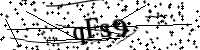 請輸入下列字母