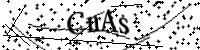 請輸入下列字母