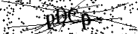請輸入下列字母