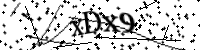 請輸入下列字母