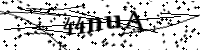 請輸入下列字母
