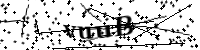 請輸入下列字母
