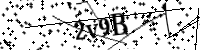 請輸入下列字母