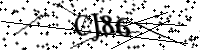 請輸入下列字母