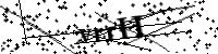 請輸入下列字母