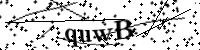 請輸入下列字母