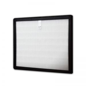 2-In-1 HEPA with Active Carbon filter